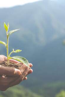 Campo Maior com plano de ação climática com 41 medidas em consulta pública